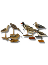 Load image into Gallery viewer, Collection of Ken Kirby Shorebirds