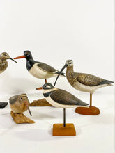 Load image into Gallery viewer, Collection of Ken Kirby Shorebirds