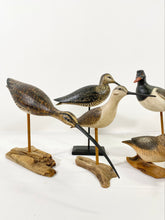 Load image into Gallery viewer, Collection of Ken Kirby Shorebirds