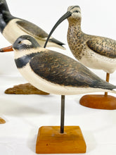 Load image into Gallery viewer, Collection of Ken Kirby Shorebirds