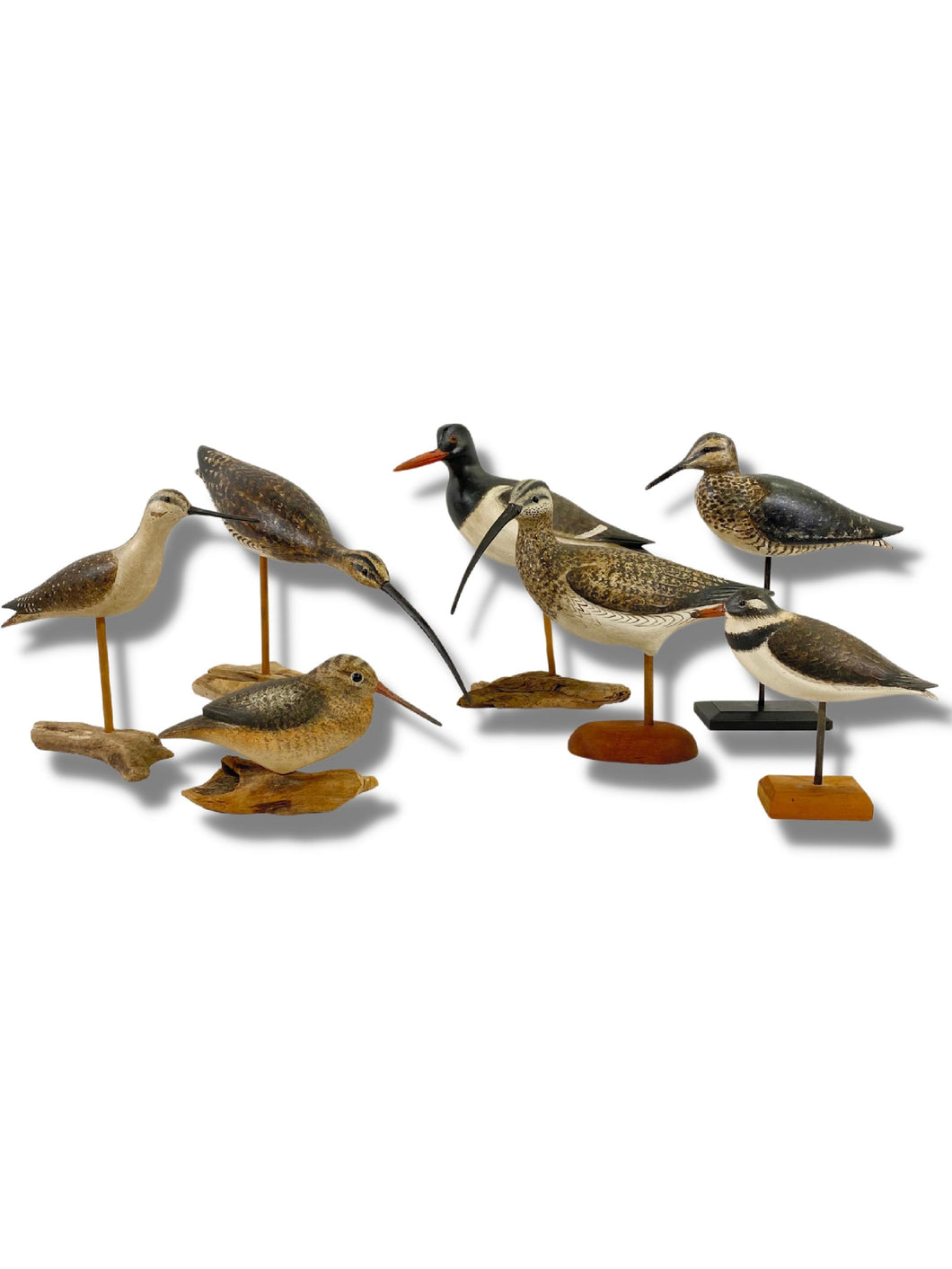 Collection of Ken Kirby Shorebirds