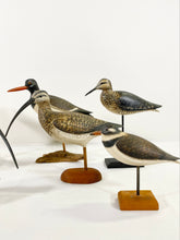 Load image into Gallery viewer, Collection of Ken Kirby Shorebirds
